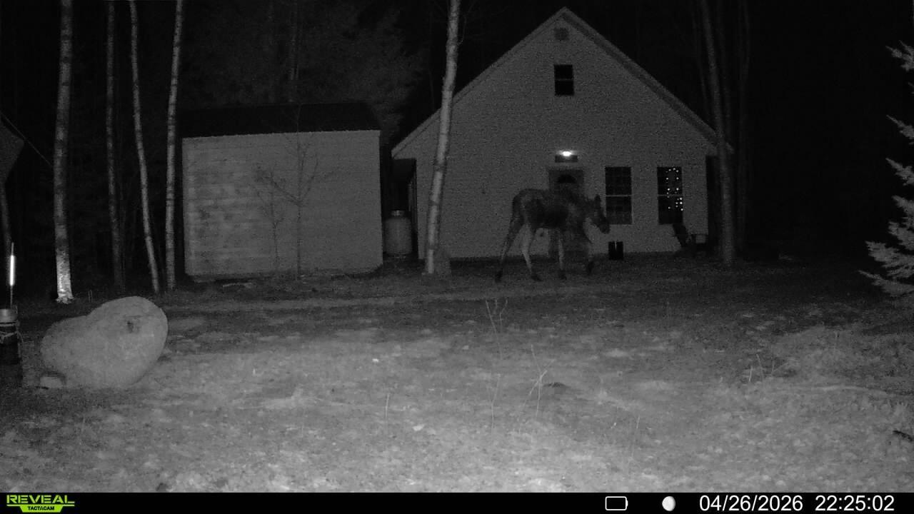 192 Wesley Me 04686 Wesley, ME 04686 - Photo 40 of 43 016578003889133-1-4-04262026222502-SYFW0