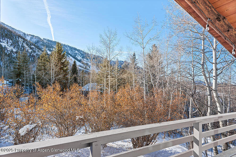 1215 Riverside Drive Aspen, CO 81611 - Photo 19 of 20 a view of a forest from a balcony