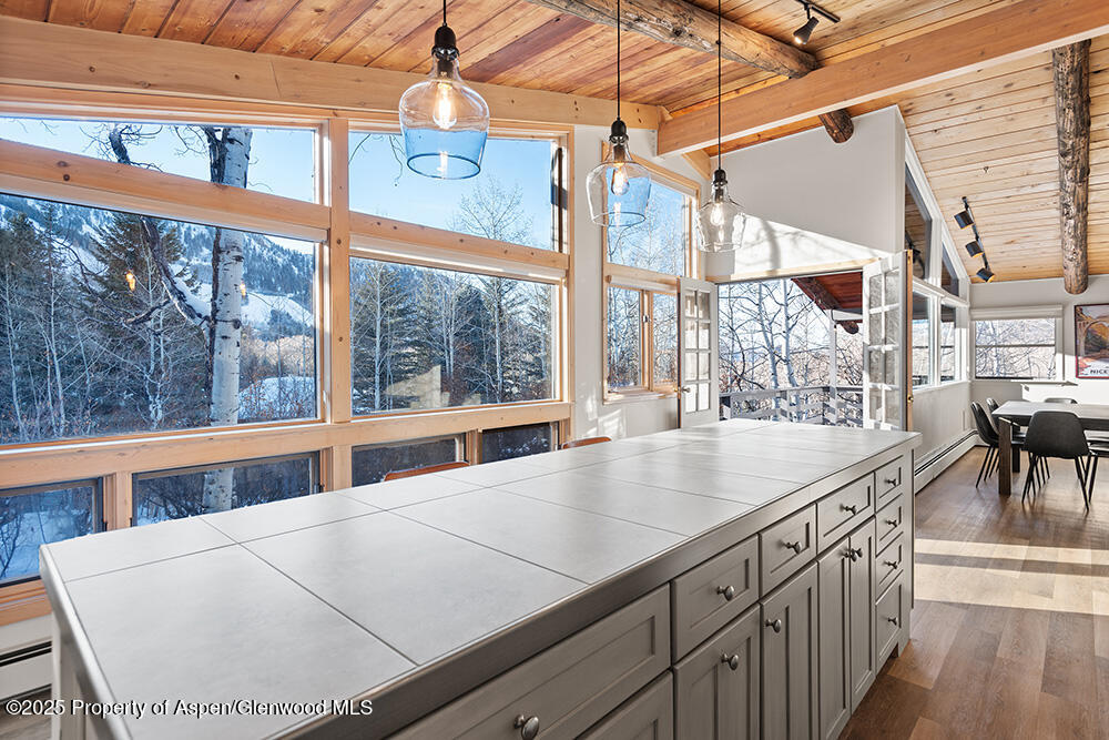 1215 Riverside Drive Aspen, CO 81611 - Photo 6 of 20 a view of a room with wooden floor and windows