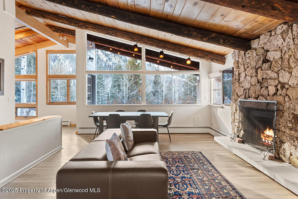 1215 Riverside Drive Aspen, CO 81611 - Photo 8 of 20 a living room with furniture a window and a fireplace