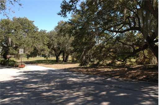 a view of empty space with large trees