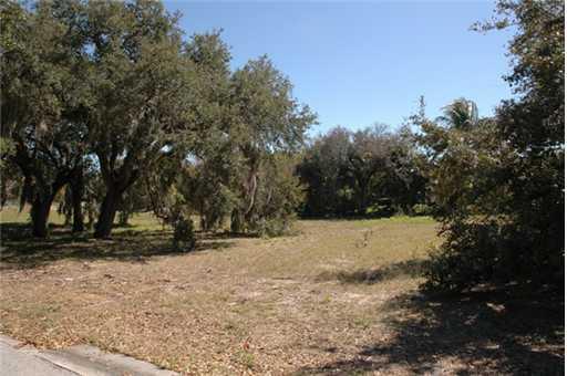 7 Castle Hill Way Sewall's Point, FL 34996 - Photo 3 of 14 a view of a yard with trees