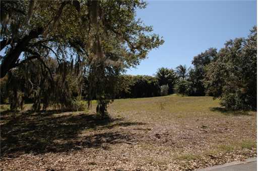 7 Castle Hill Way Sewall's Point, FL 34996 - Photo 4 of 14 a view of outdoor space with trees