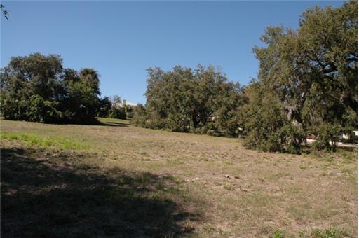7 Castle Hill Way Sewall's Point, FL 34996 - Photo 6 of 14 a view of a yard with a tree