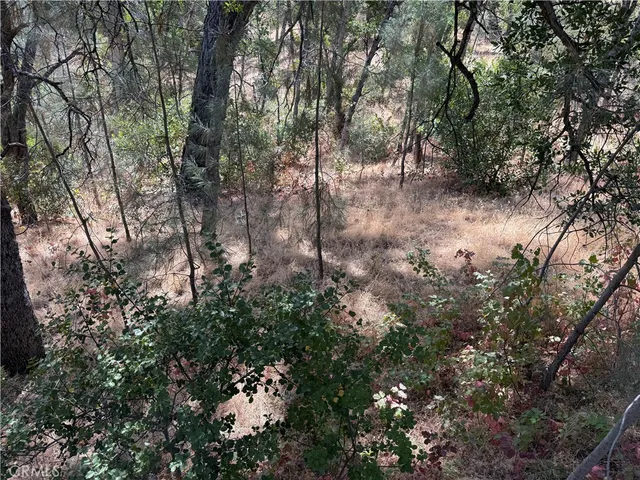 $23,500 | 16305 Hillcrest Drive, Corning, CA 96021