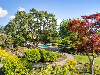 a view of a garden with large trees