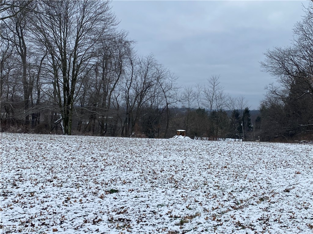 262 Genteel Ridge Road Wellsburg, WV 26070 - Photo 3 of 15