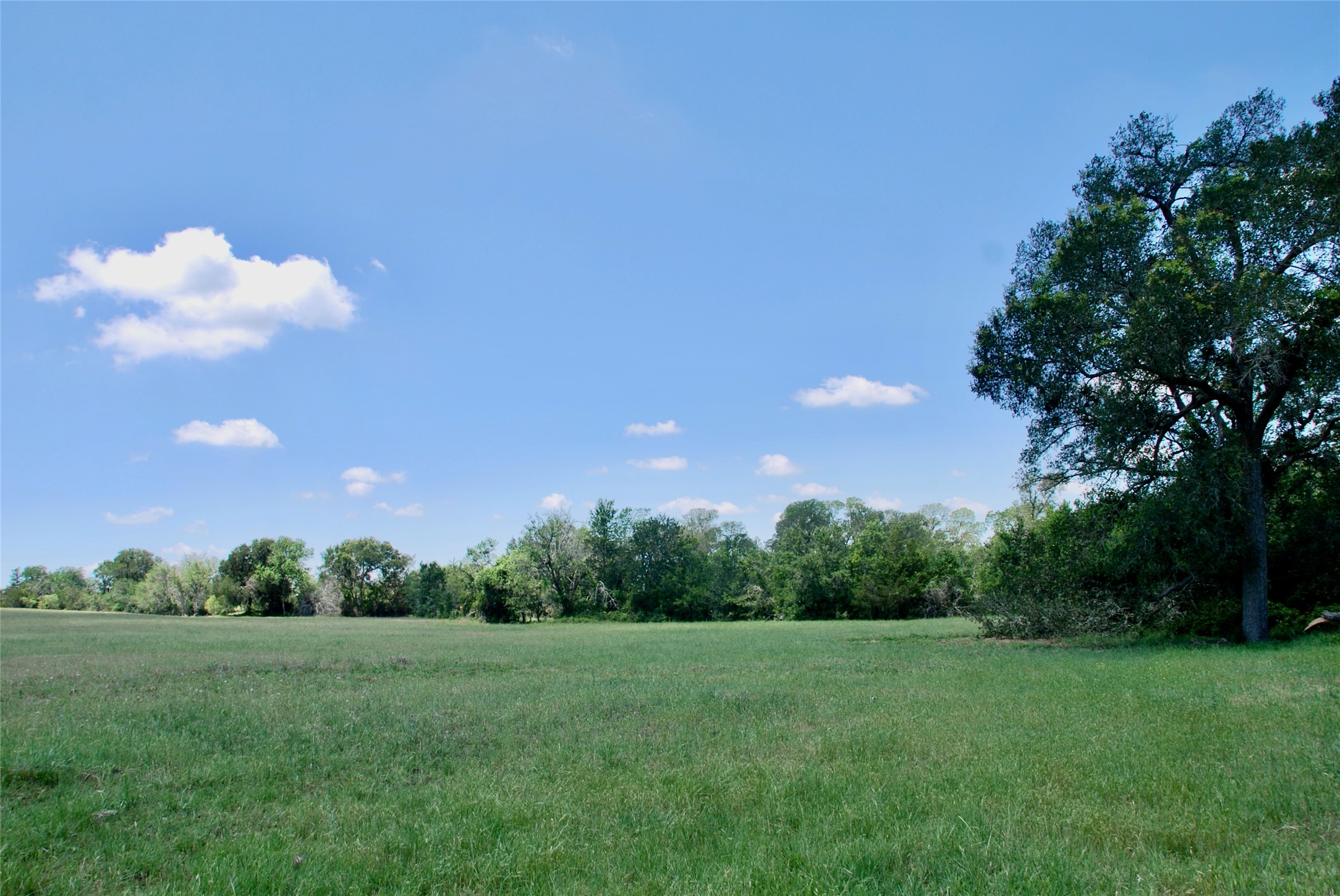 3703 Muehr Road Weimar, TX 78962 - Photo 15 of 29