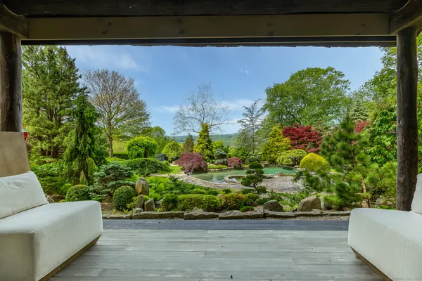a view of a yard with plants