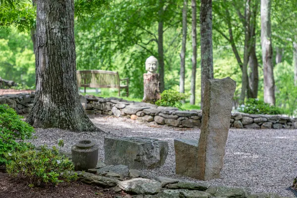 a view of a garden with trees