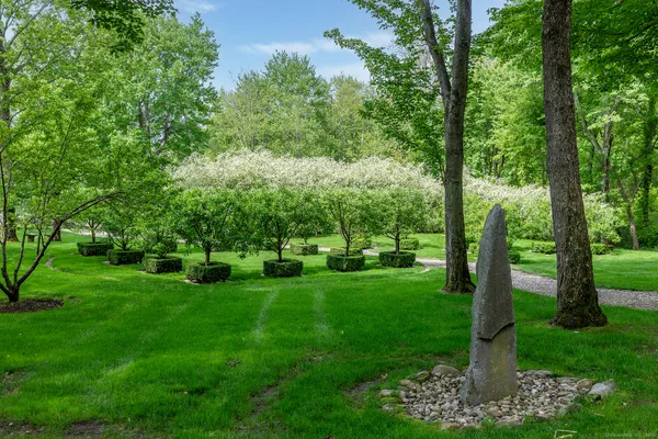 a view of a park with large trees