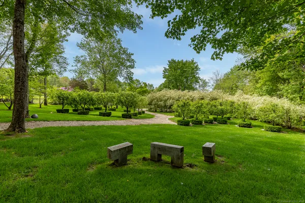 a view of a garden with trees