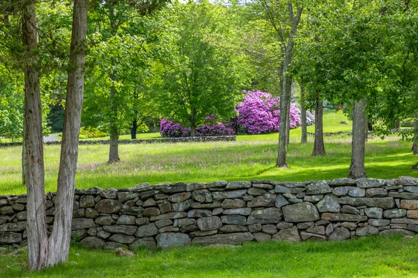 a view of a park with large trees
