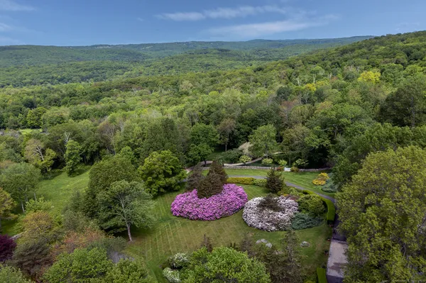a view of a lush green field