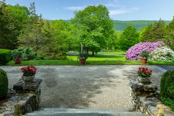 a view of a backyard with potted plants and large trees