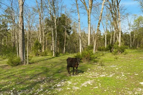 $1,200,000 | 205 Sherrilltown Road, Watertown, TN 37184