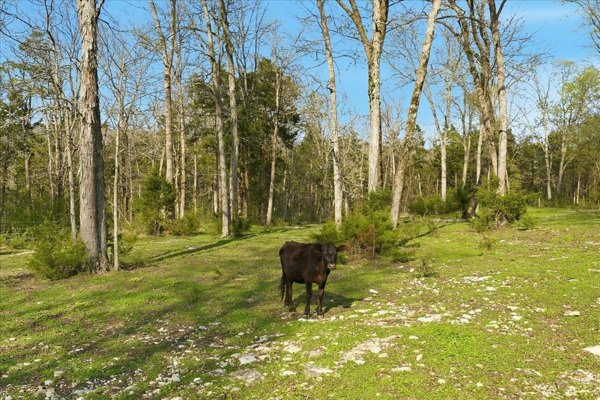 205 Sherrilltown Road Watertown, TN 37184 - Photo 64 of 64