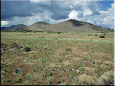 42039 Alpine Ranch Flagstaff, AZ 86004 - Photo 1 of 3 Primary Photo