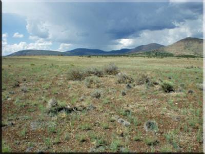 42039 Alpine Ranch Flagstaff, AZ 86004 - Photo 2 of 3 Additional Photo