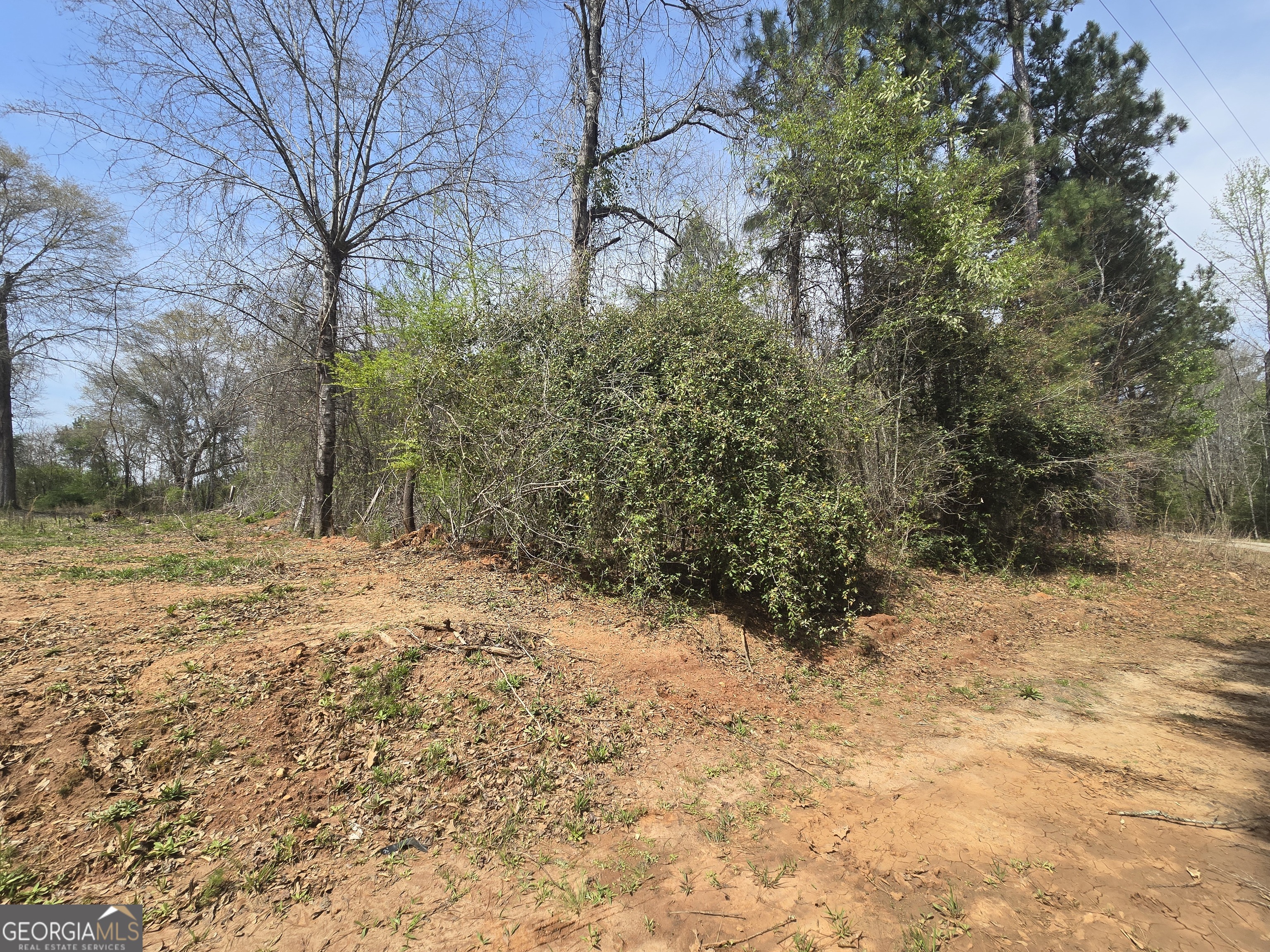 3588 West Ellis Road Griffin, GA 30223 - Photo 6 of 9