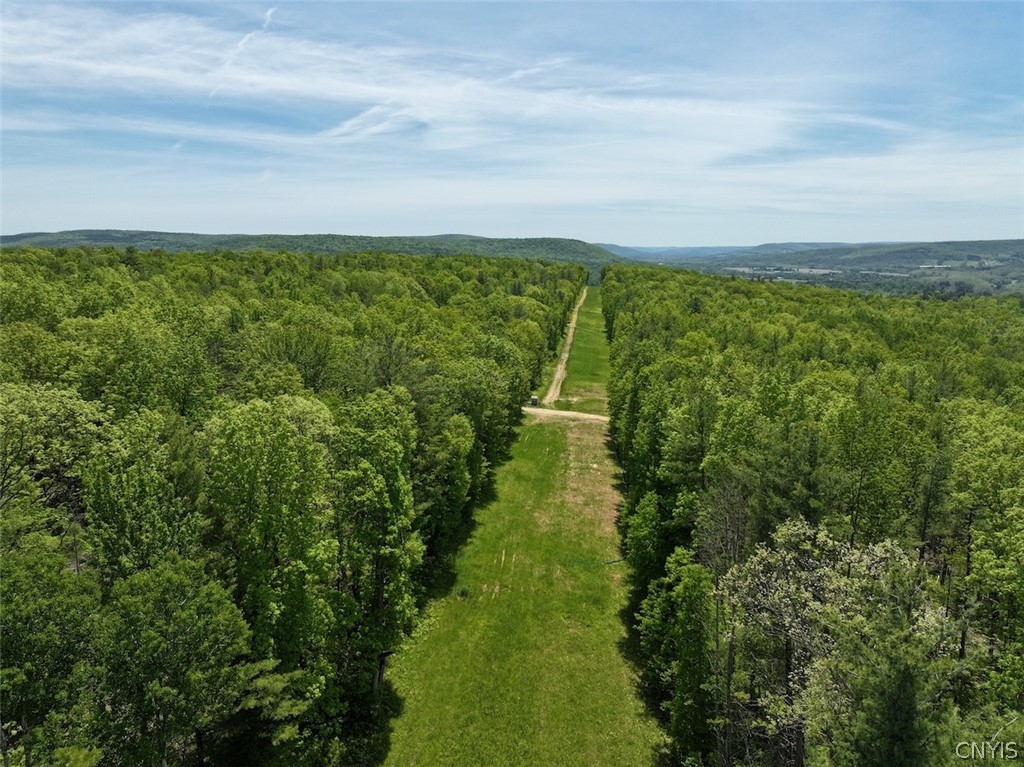 River Road Belmont, NY 14813 - Photo 22 of 23