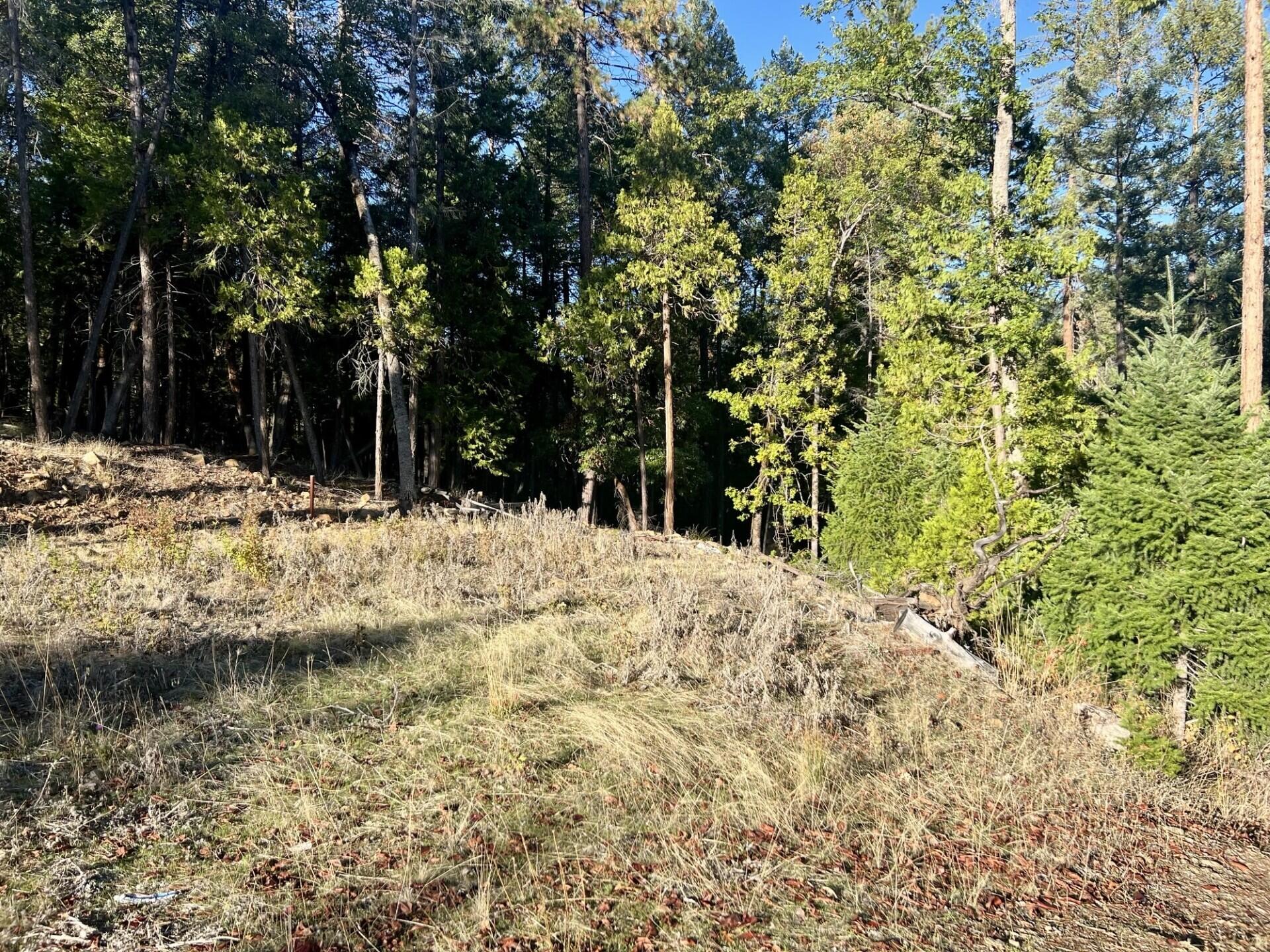 501 Elder Mill Road Trail, OR 97541 - Photo 10 of 12 thumbnail_IMG_6986