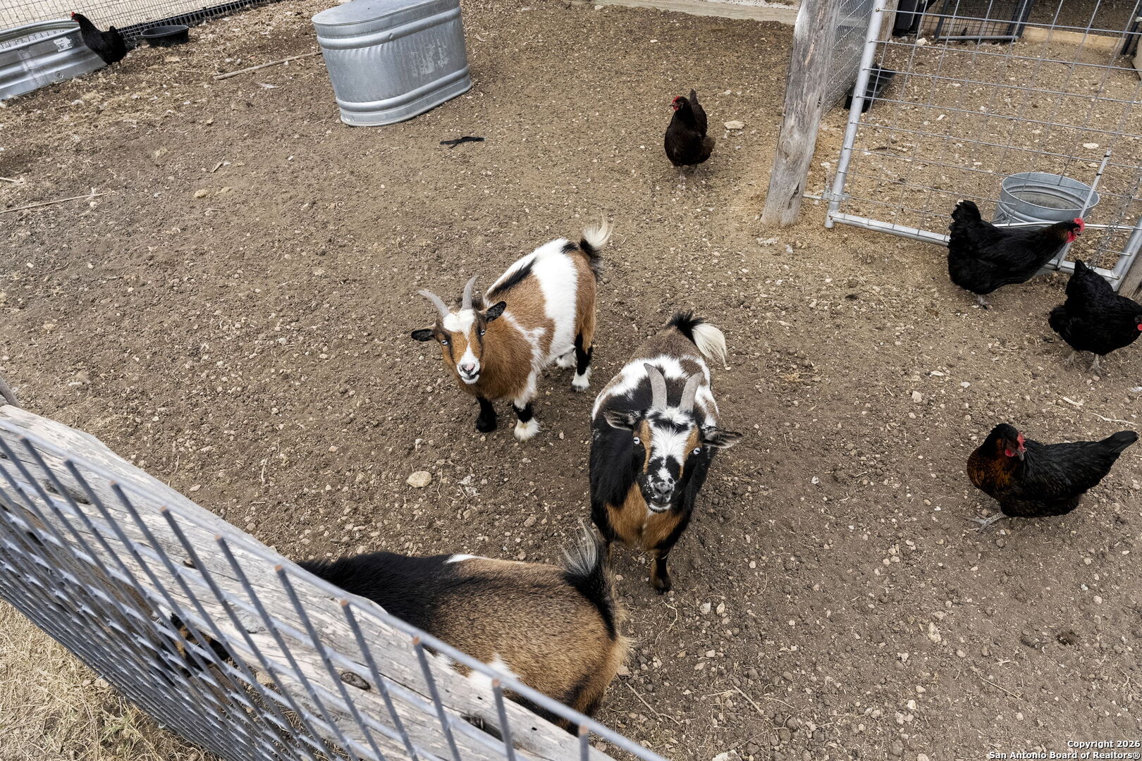 71 Sabinas Creek Ranch Road Boerne, TX 78006 - Photo 38 of 38