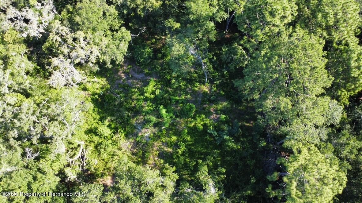 0 Little Ranch Road Spring Hill, FL 34610 - Photo 25 of 25