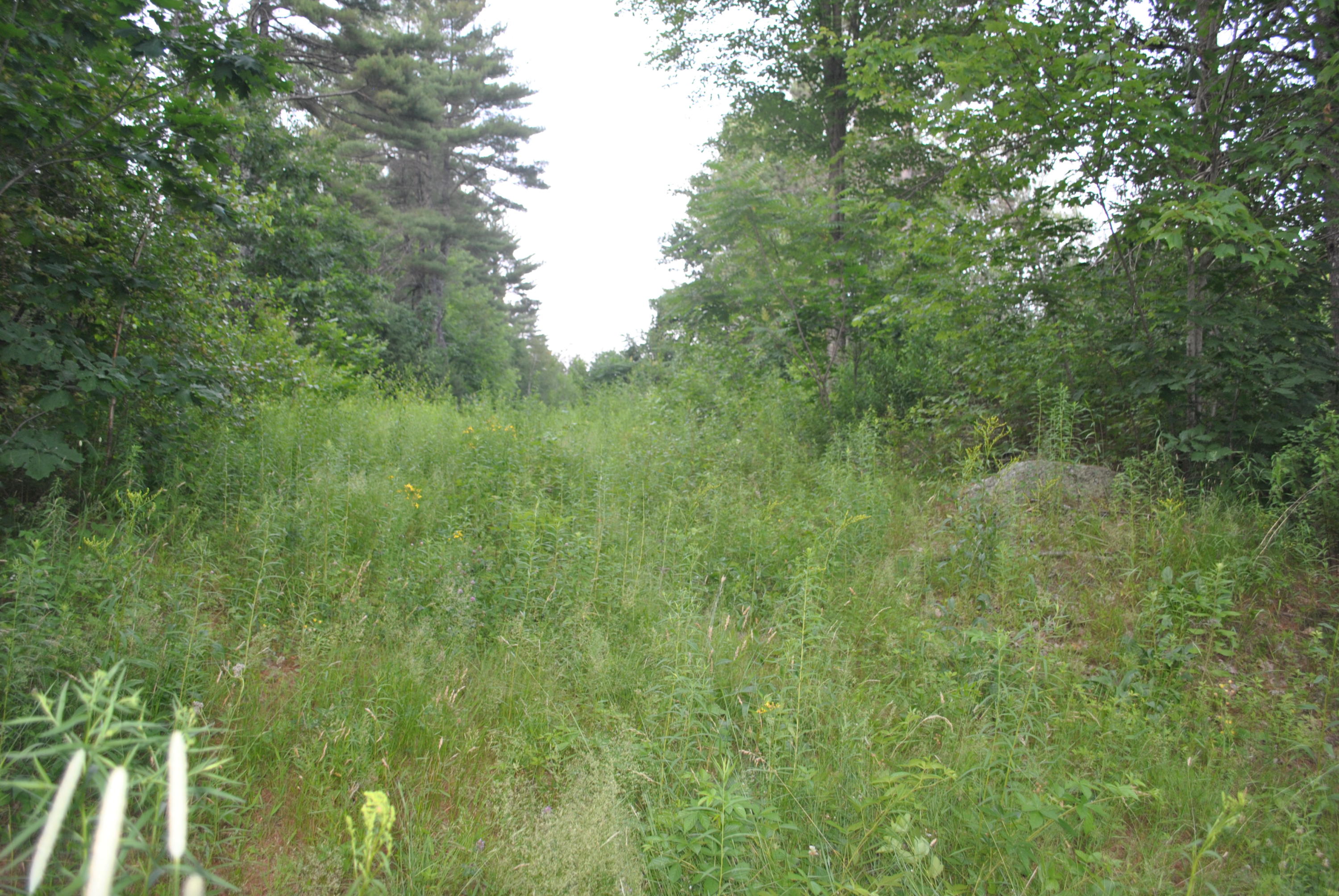 25 Webster Road Gorham, ME 04038 - Photo 2 of 4 DSC_2073