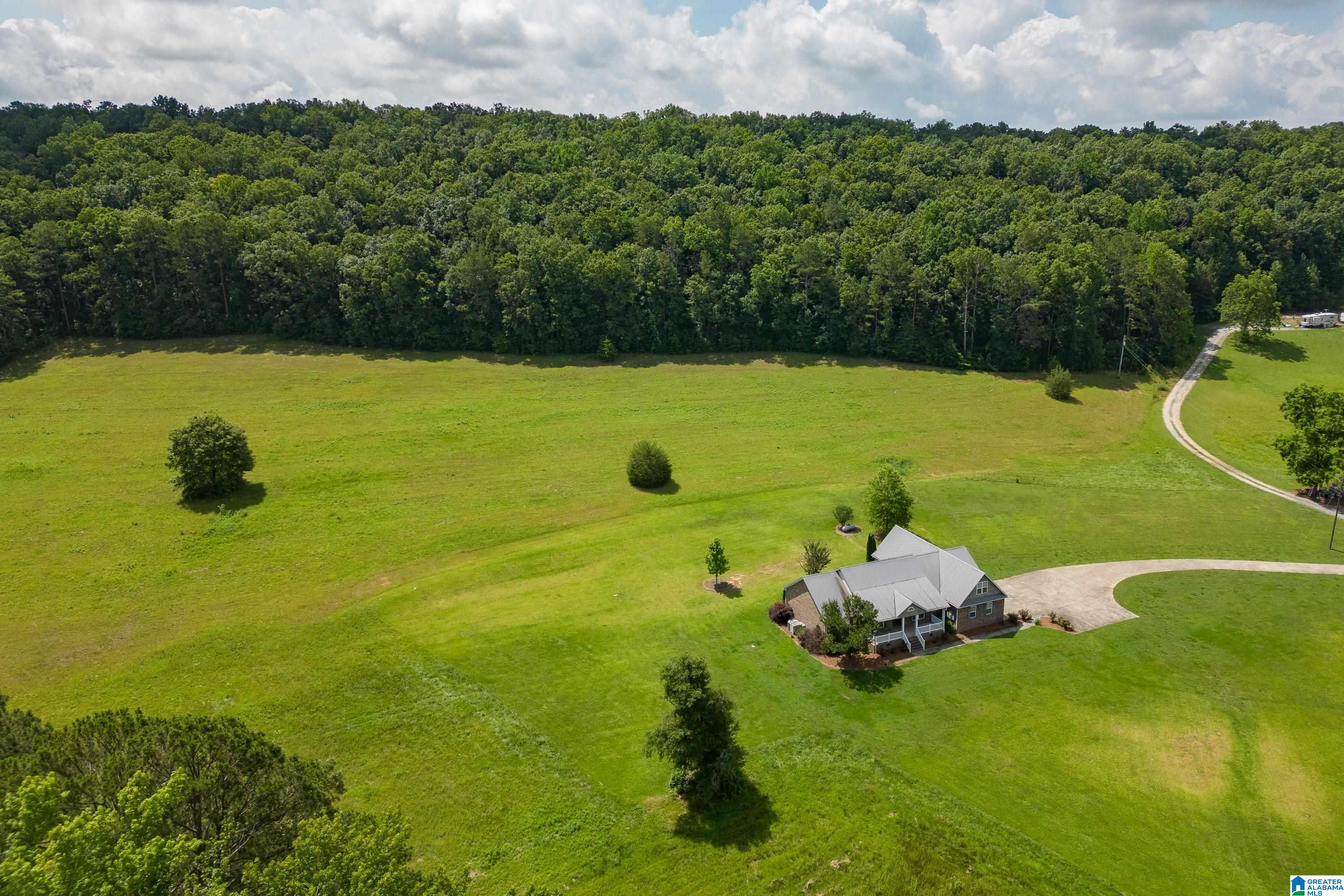 4599 Reagan Road Altoona, AL 35952 - Photo 51 of 57
