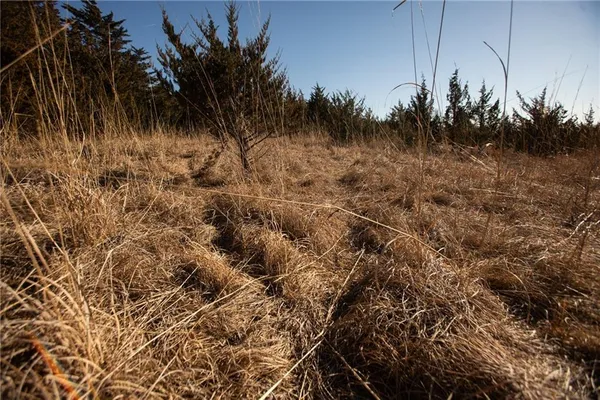 $90,000 | 285 Road Grant City Mo 64456, Grant City, MO 64456