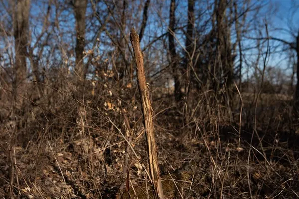 $90,000 | 285 Road Grant City Mo 64456, Grant City, MO 64456