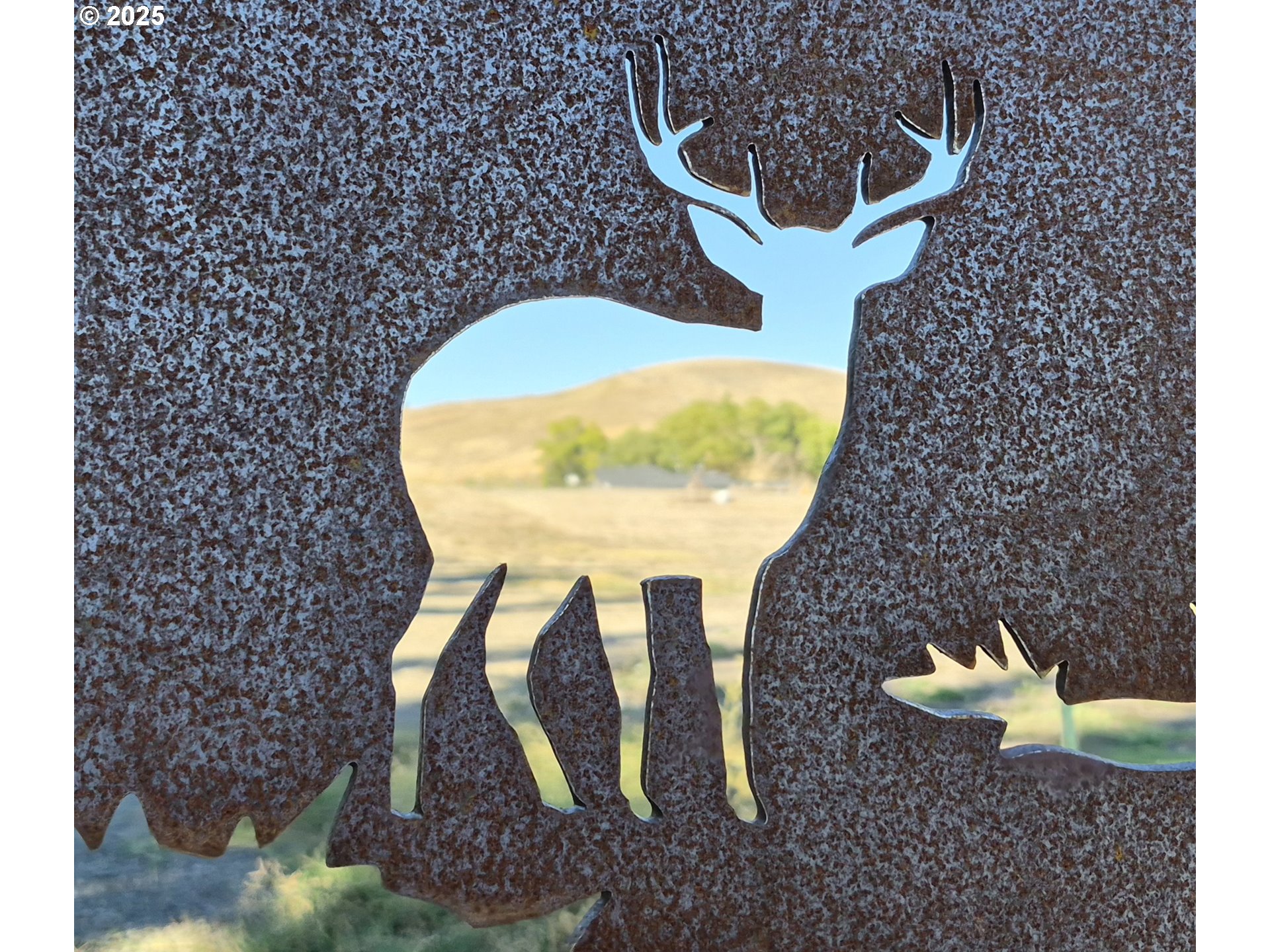 359 Ladybug Lane Roseburg, OR 97470 - Photo 12 of 13 an aerial view of a fireplace