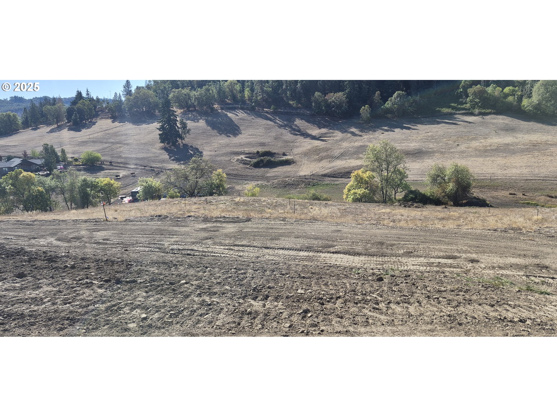 359 Ladybug Lane Roseburg, OR 97470 - Photo 3 of 13 a view of a dry yard