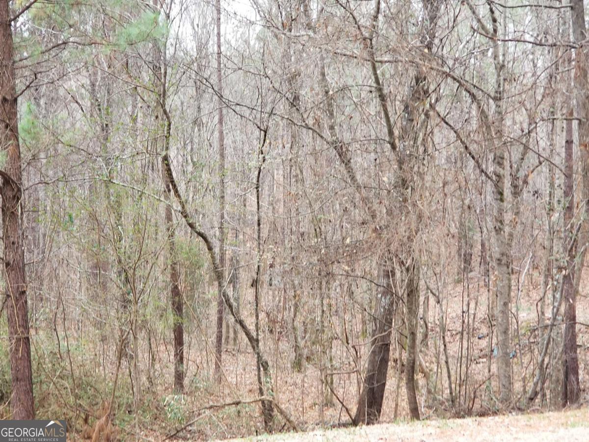 3310-3308 Bold Spring Drive Stockbridge, GA 30281 - Photo 3 of 3