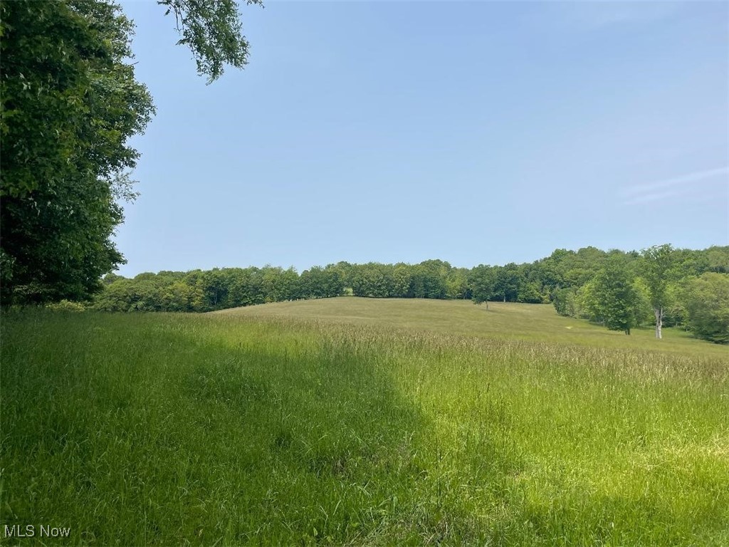 2070 Riggle Road Bellville, OH 44813 - Photo 28 of 47