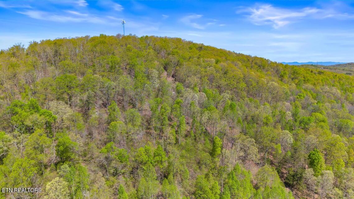 0 Dogtown Road Ten Mile, TN 37880 - Photo 2 of 8 20250410172523195821000000-o