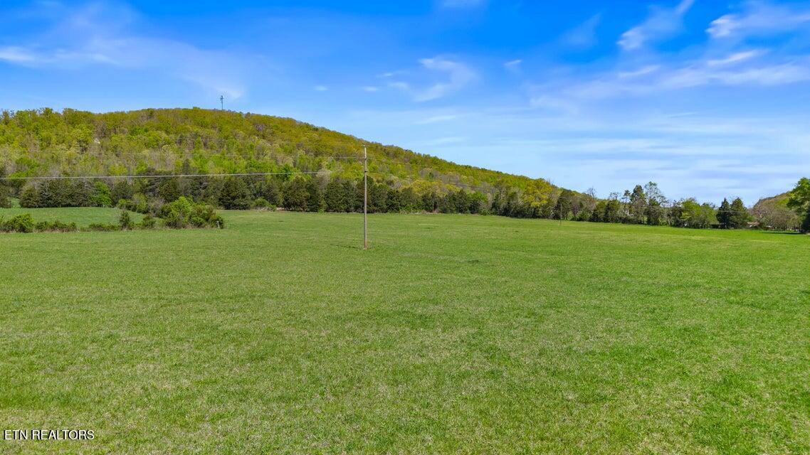 0 Dogtown Road Ten Mile, TN 37880 - Photo 6 of 8 20250410172531933384000000-o