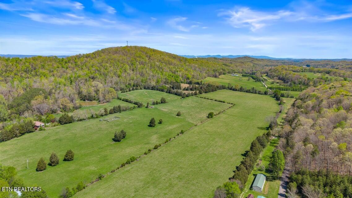 0 Dogtown Road Ten Mile, TN 37880 - Photo 7 of 8 20250410172534201350000000-o