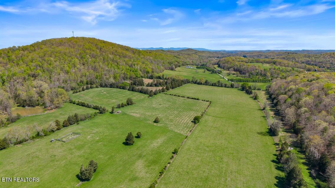 0 Dogtown Road Ten Mile, TN 37880 - Photo 8 of 8 20250410172536183543000000-o