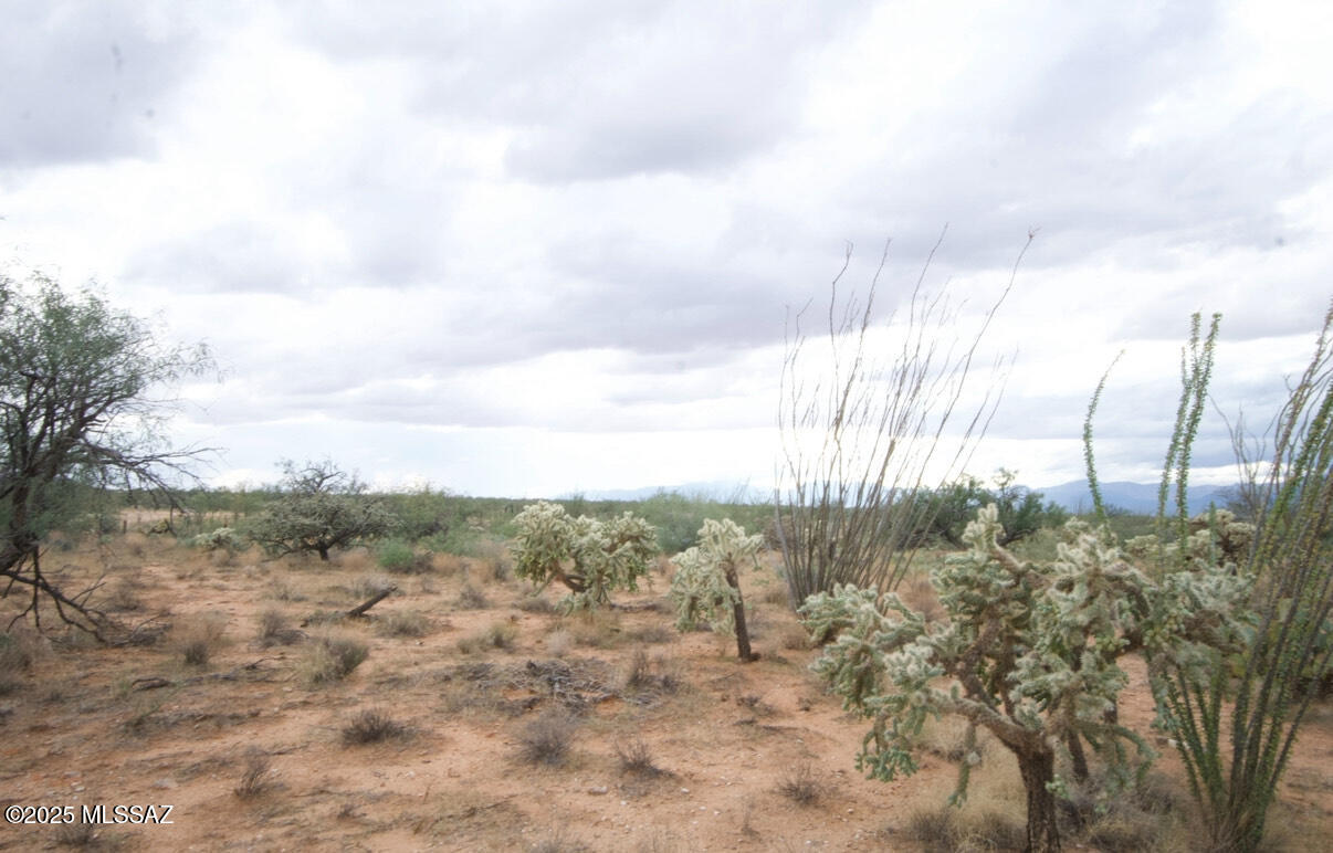 14536 West Diamond Bell Ranch Road, Unit 406 Tucson, AZ 85736 - Photo 9 of 16