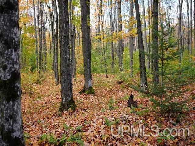 5800 Wolf Lake Road Watersmeet, MI 49969 - Photo 65 of 86