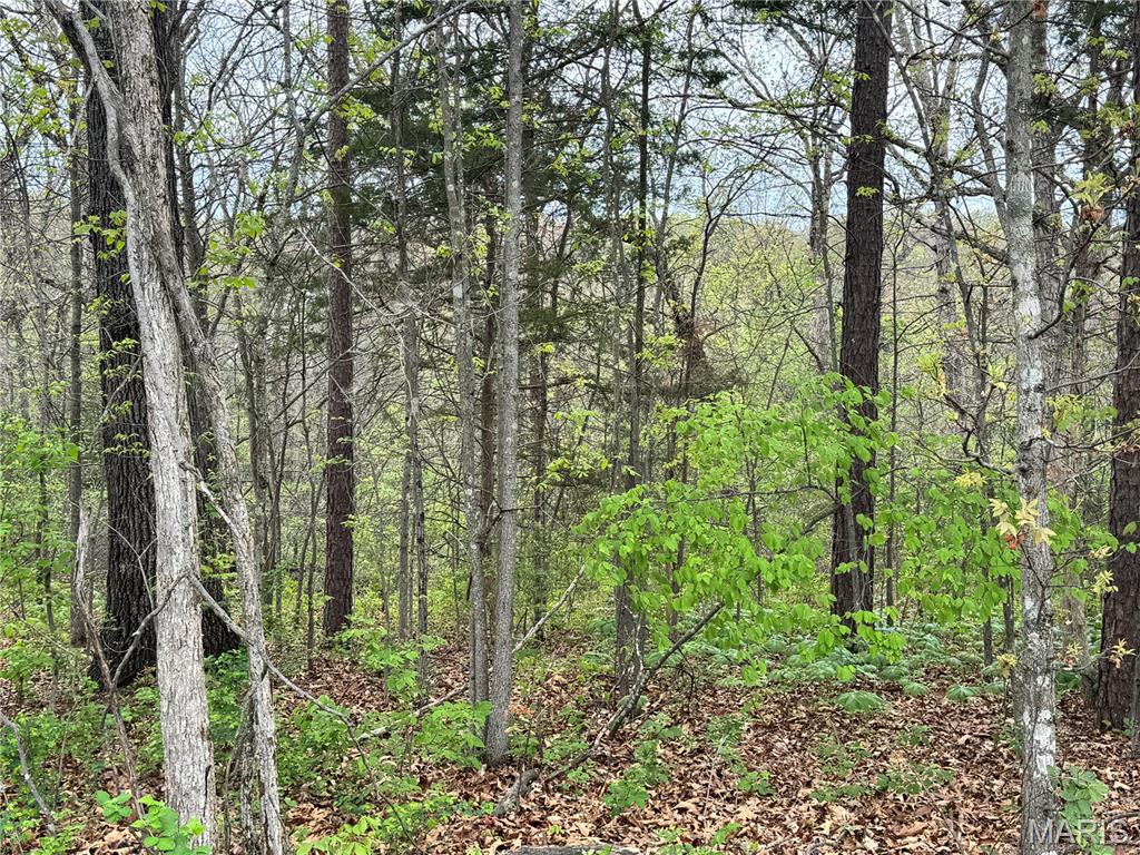 30738 North Stringtown Road Foristell, MO 63348 - Photo 2 of 5