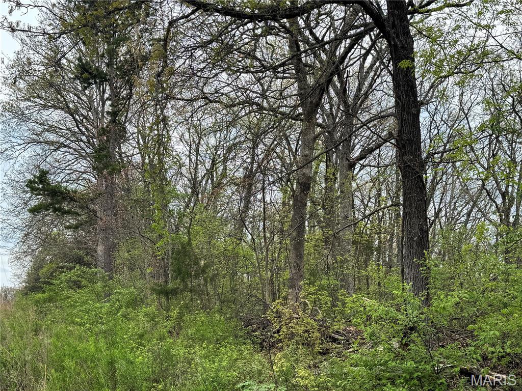 30738 North Stringtown Road Foristell, MO 63348 - Photo 3 of 5