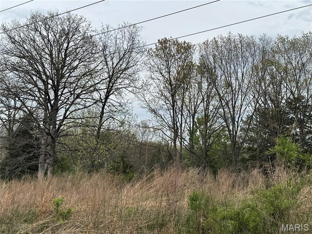 30738 North Stringtown Road Foristell, MO 63348 - Photo 5 of 5