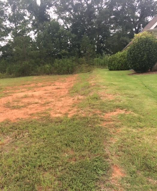 Lot 12 Courtyard Drive Anderson, SC 29621 - Photo 3 of 4 Gallery Image 3