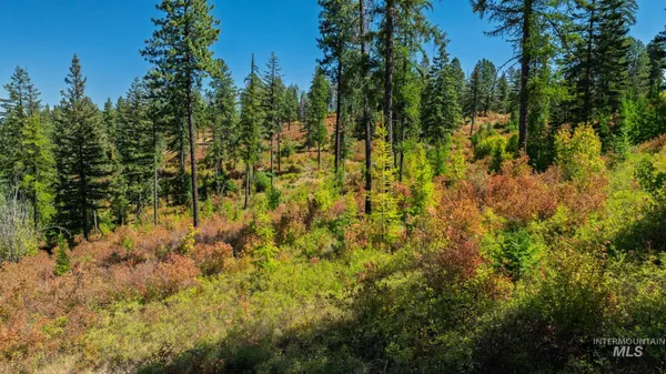 $495,000 | Nka O'reilly Road, Princeton, ID 83857