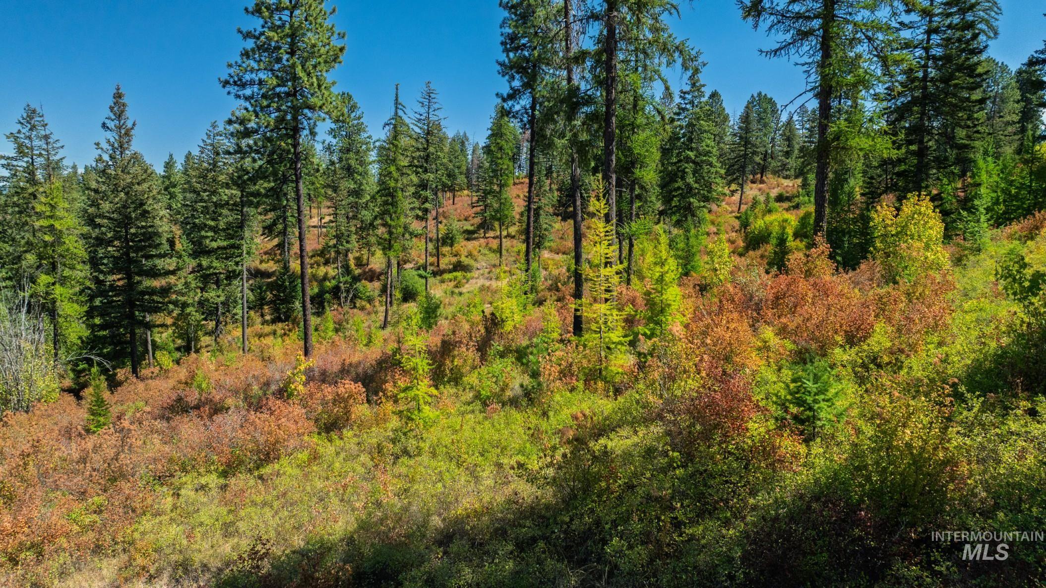 Nka O'reilly Road Princeton, ID 83857 - Photo 1 of 34