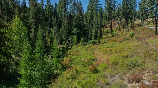 $495,000 | Nka O'reilly Road, Princeton, ID 83857