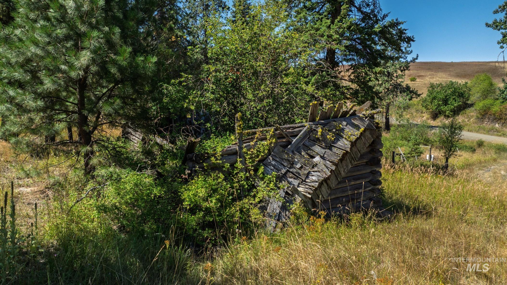 Nka O'reilly Road Princeton, ID 83857 - Photo 14 of 34